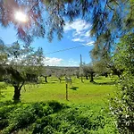Quinta Do Minhoto, Charming Close To Golega 托雷斯诺瓦斯