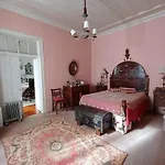 Quinta Do Minhoto, Charming Close To Golega 公寓 托雷斯诺瓦斯
