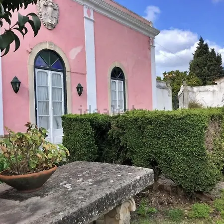 Quinta Do Minhoto, Charming Close To Golega Апартаменты