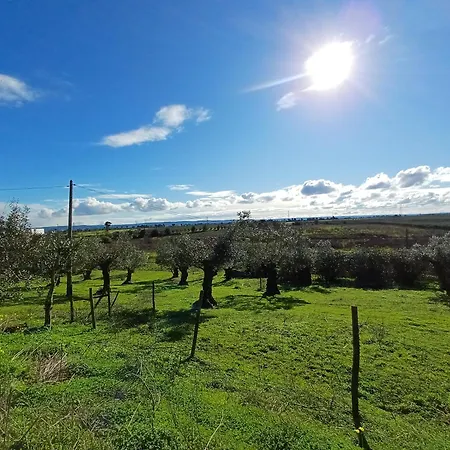 Quinta Do Minhoto, Charming Close To Golega Апартаменты Торриш-Новаш