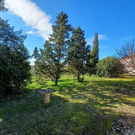 Quinta Do Minhoto, Charming Close To Golega
