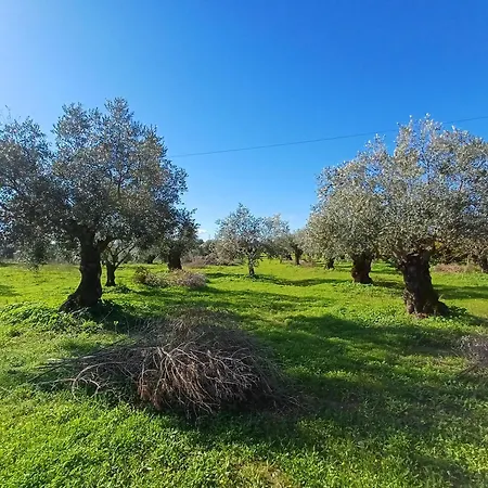 Quinta Do Minhoto, Charming Close To Golega Апартаменты *