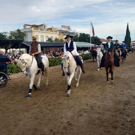 Quinta Do Minhoto, Charming Close To Golega Апартаменты *