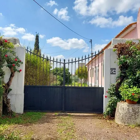 아파트 Quinta Do Minhoto, Charming Close To Golega *