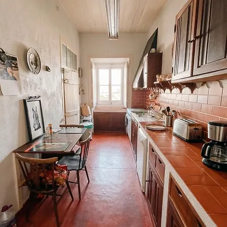 Quinta Do Minhoto, Charming Close To Golega 아파트