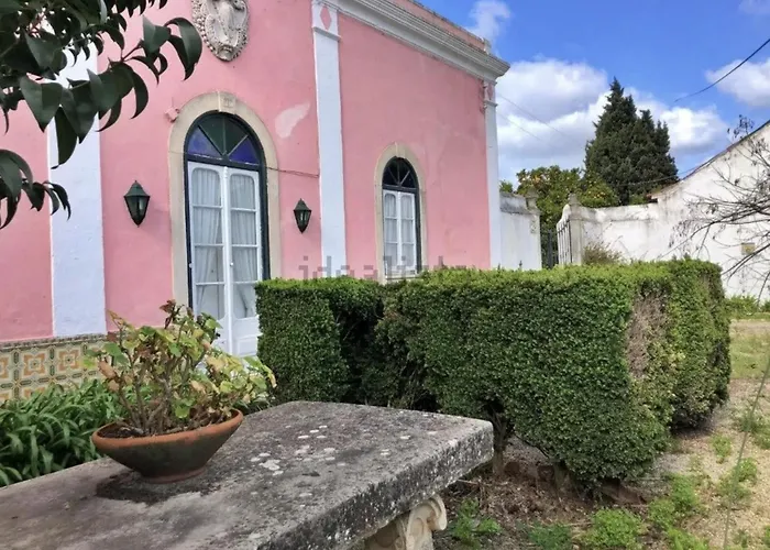 Quinta Do Minhoto, Charming Close To Golega Lägenhet