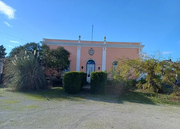 公寓 Quinta Do Minhoto, Charming Close To Golega 托雷斯诺瓦斯