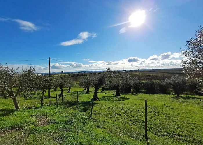 Quinta Do Minhoto, Charming Close To Golega 公寓 托雷斯诺瓦斯