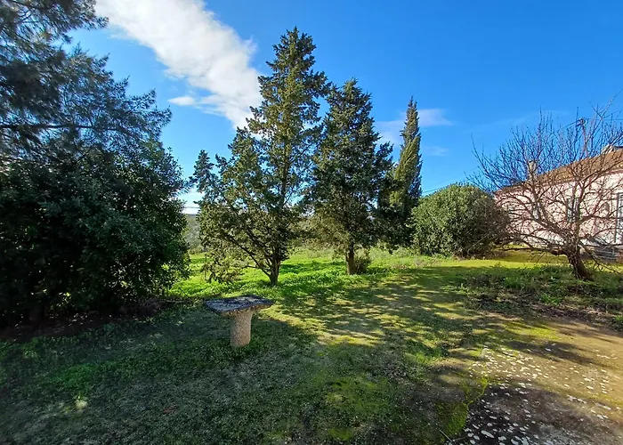 Quinta Do Minhoto, Charming Close To Golega