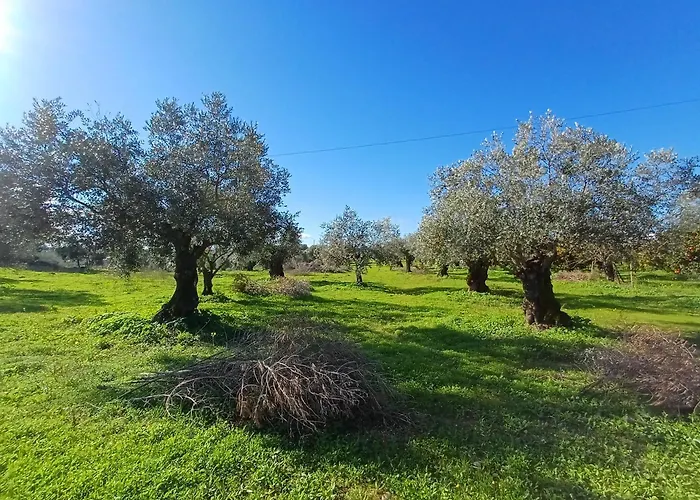 Quinta Do Minhoto, Charming Close To Golega 公寓 *