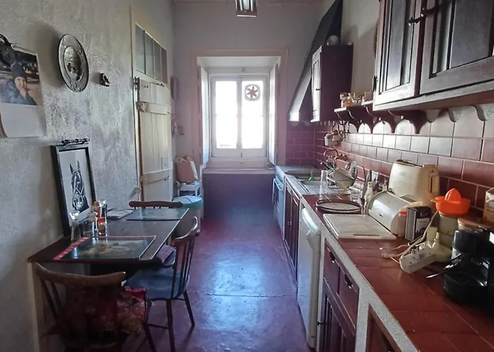 公寓 Quinta Do Minhoto, Charming Close To Golega