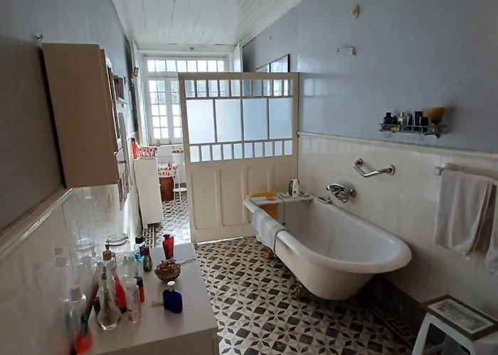 Quinta Do Minhoto, Charming Close To Golega 公寓